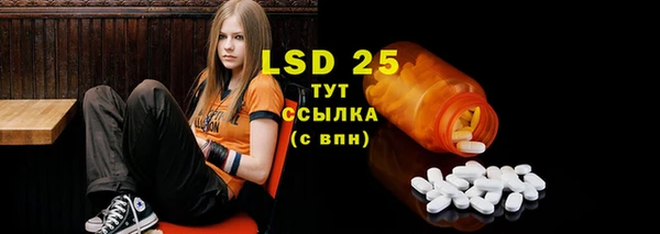 спайс Пересвет