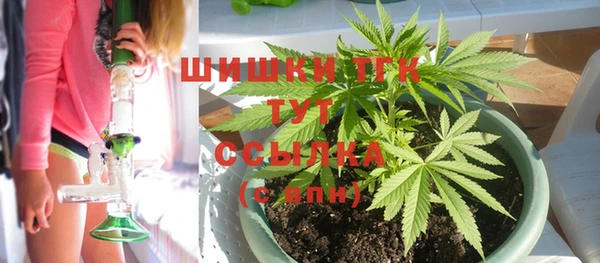 mdpv Переславль-Залесский