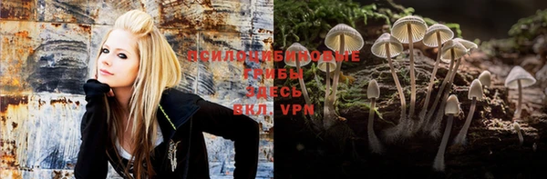 mdpv Переславль-Залесский