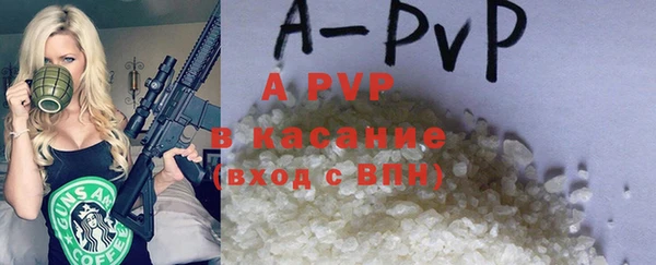 спайс Пересвет