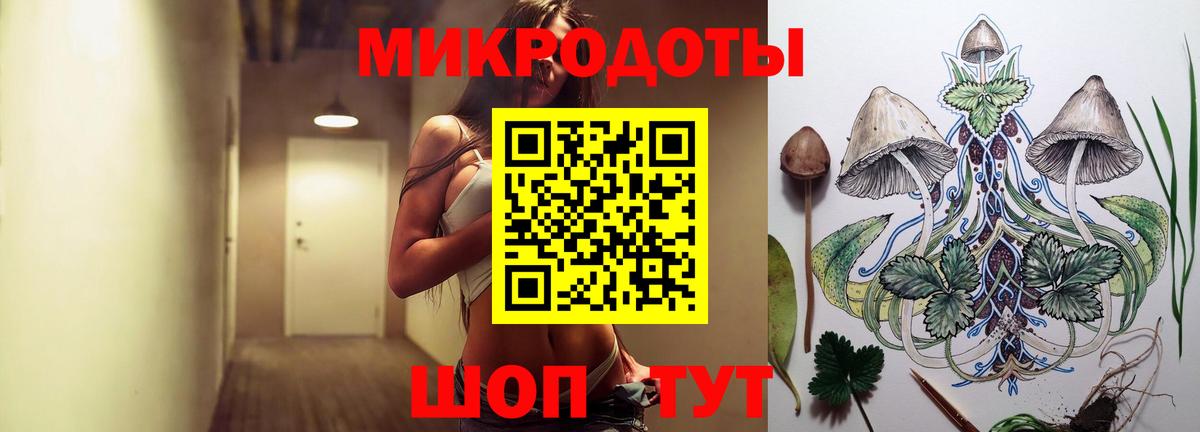 Галлюциногенные грибы Psilocybe Волжск