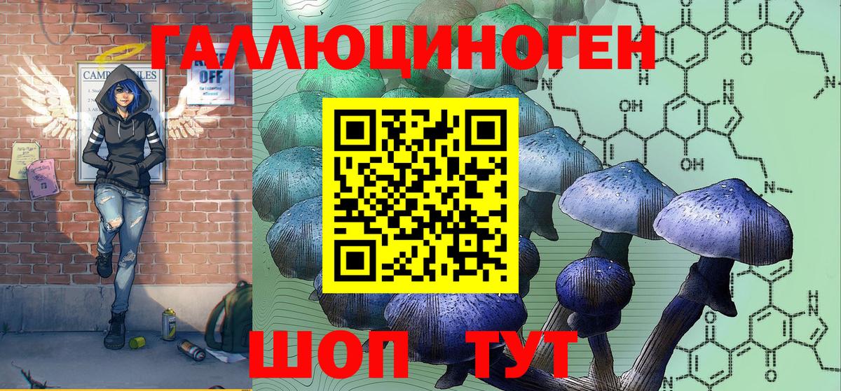 Галлюциногенные грибы GOLDEN TEACHER  где найти наркотики  Волжск  Вход с VPN  Галлюциногенные грибы Psilocybine cubensis 